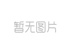 2021/08/25废纸最新回收报价-森林人废纸回收有限公司